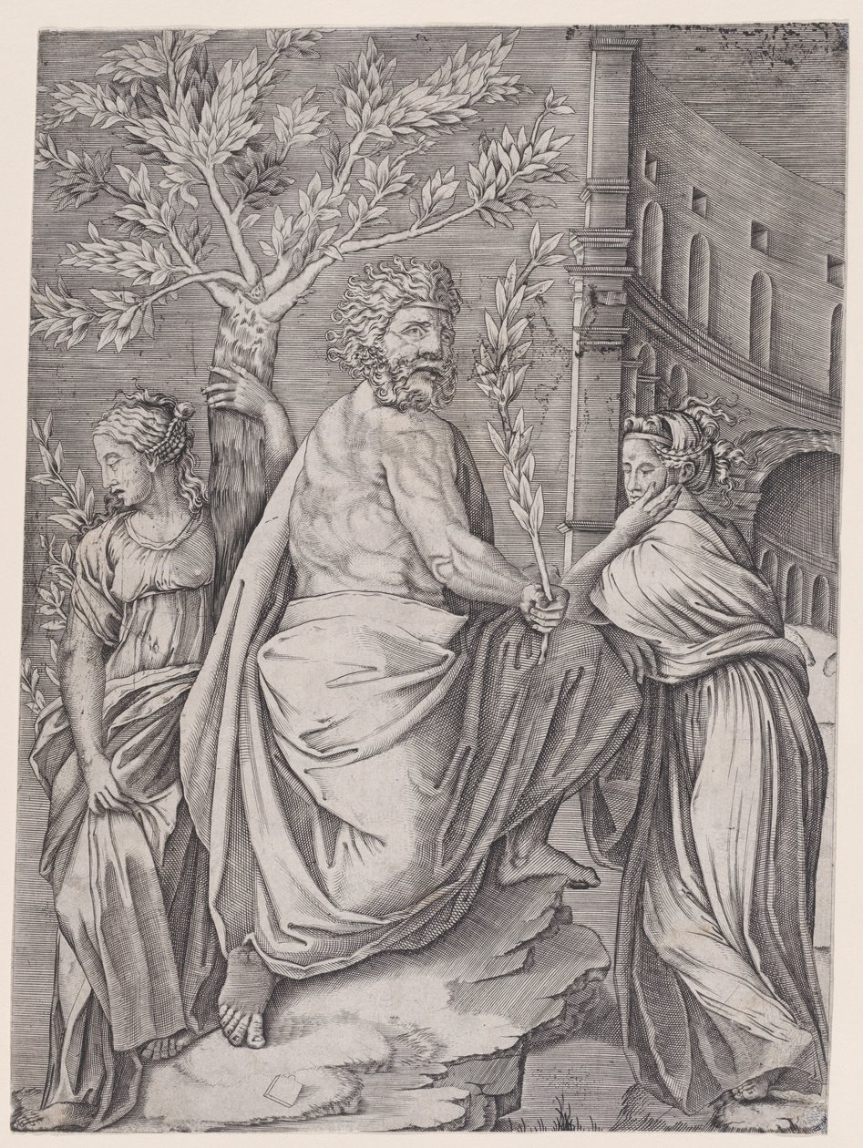 Der Mann mit einem Lorbeerzweig, ca. 1514-36 von Agostino Veneziano