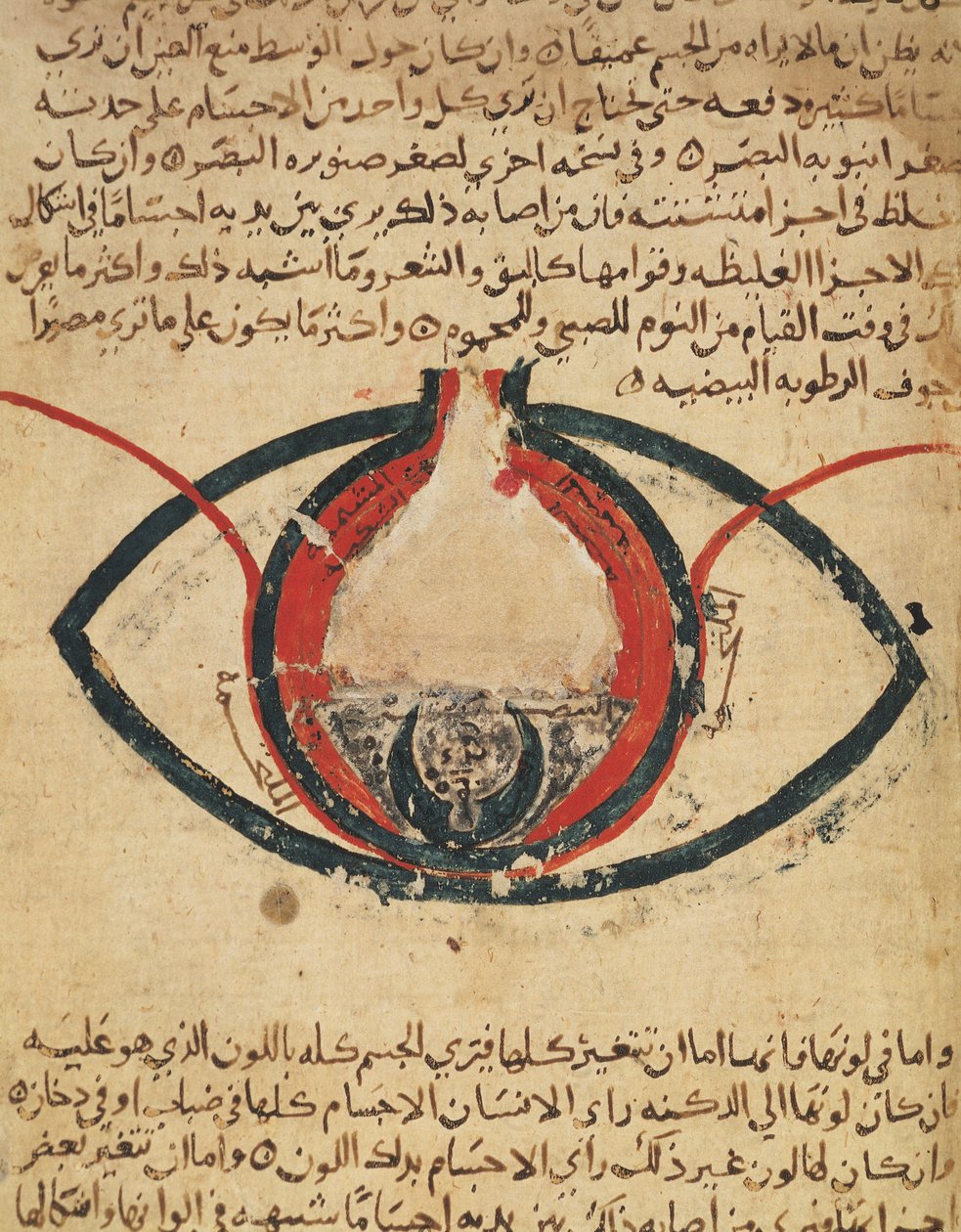 Anatomie des Auges, aus einem Buch über Augenkrankheiten von Al Mutadibi