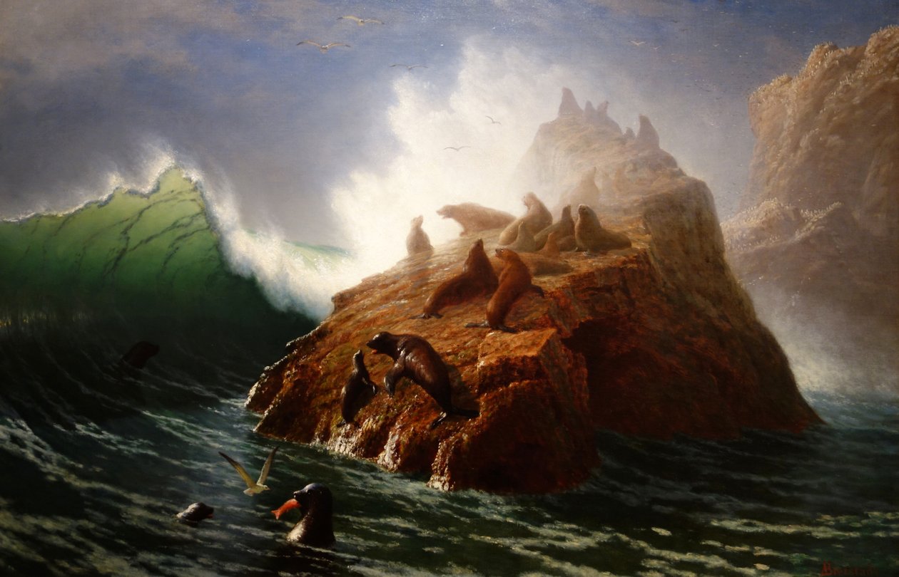 Seal Rock von Albert Bierstadt