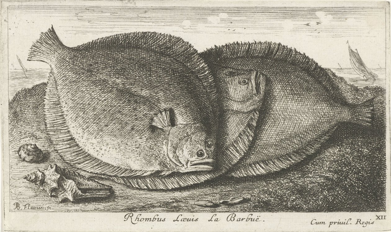 Drei Fische am Strand von Albert Flamen