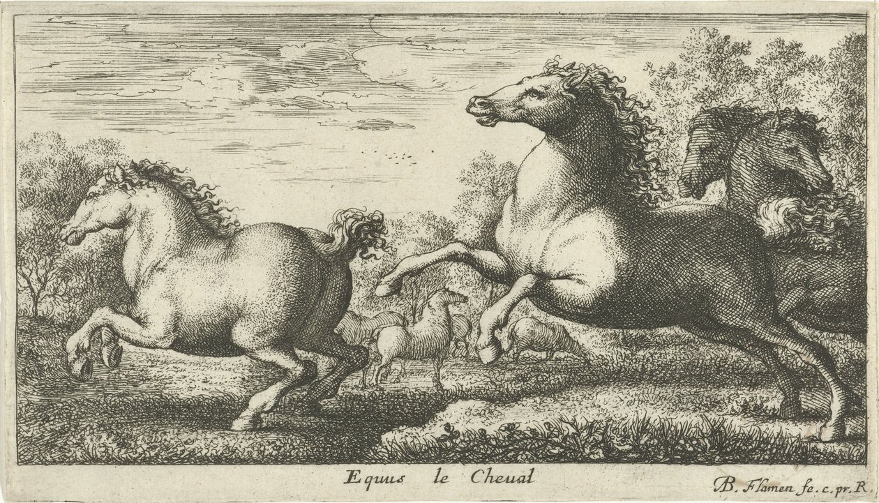 Pferde (Verschiedene Tierarten) von Albert Flamen