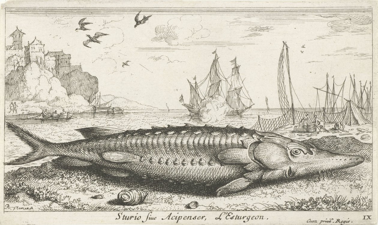 Stör am Strand von Albert Flamen