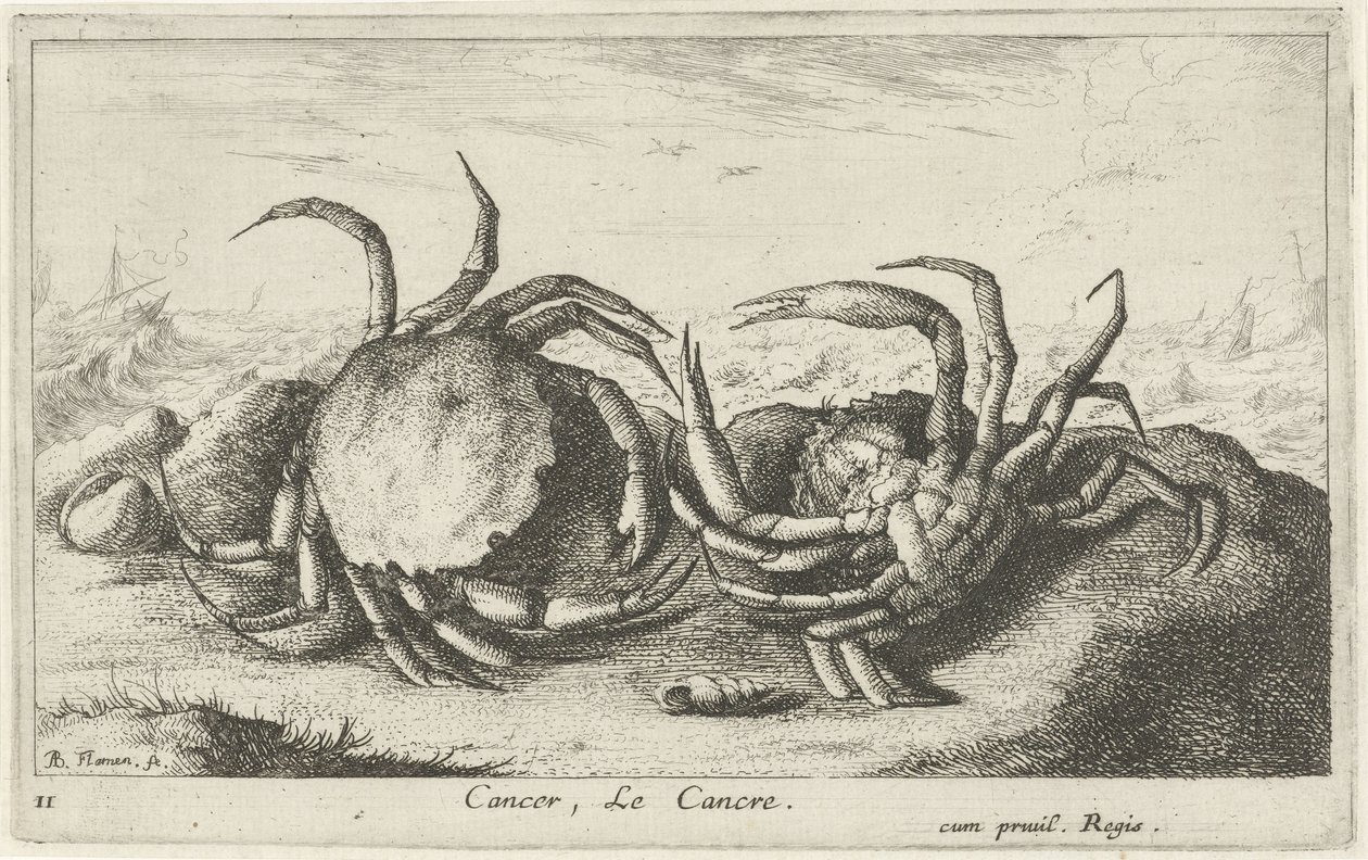 Zwei Krebse am Strand von Albert Flamen