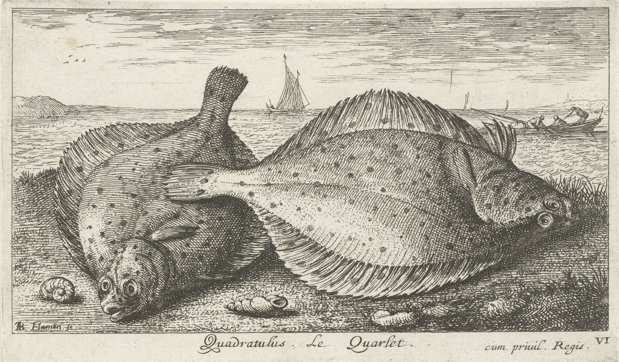 Zwei Schollen am Strand von Albert Flamen