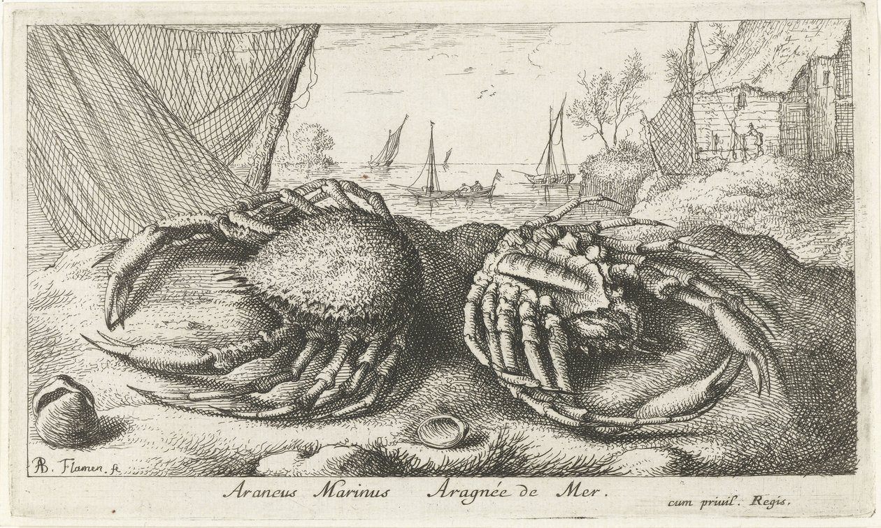 Zwei Spinnenkrabben bei einem Fischernetz von Albert Flamen