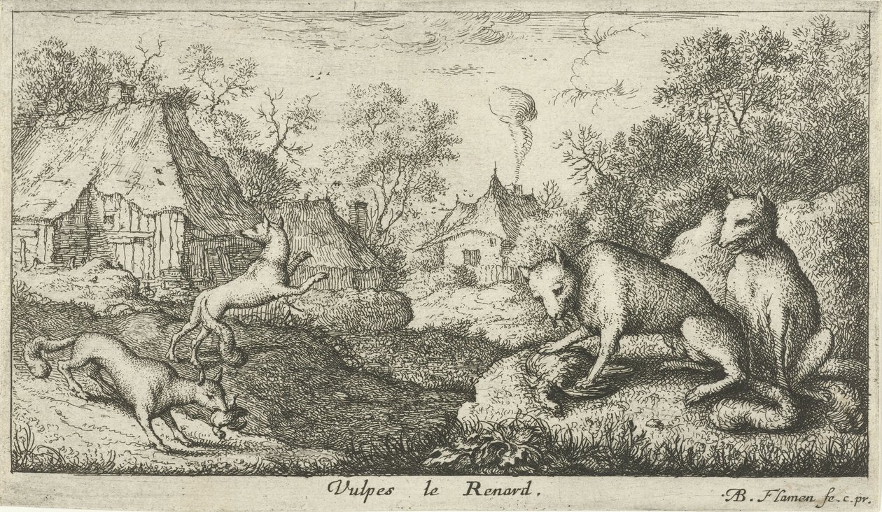 Füchse von Albert Flamen