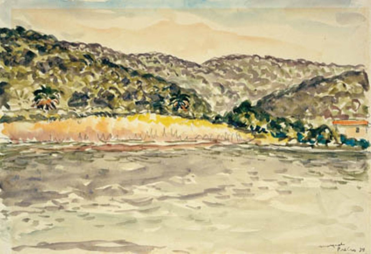 Küstenlandschaft bei Île de Port Cros von Albert Marquet