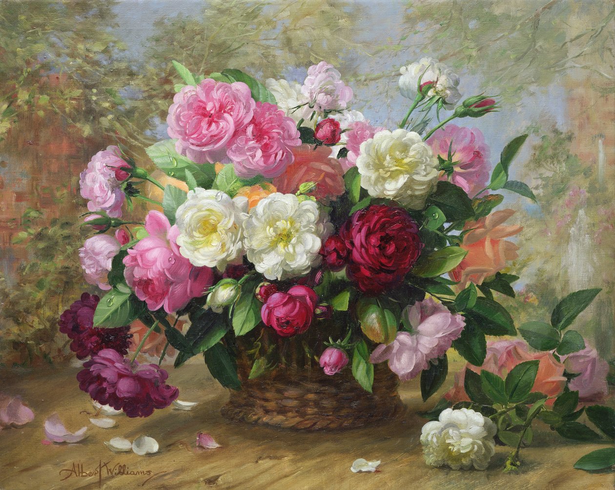 Himmlische Schönheit in einer Sommerrose von Albert Williams