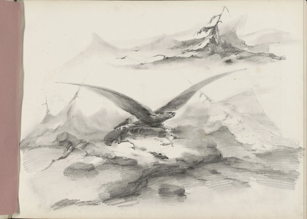 Adler fliegend über eine Küste mit Bergen von Albertus van Beest