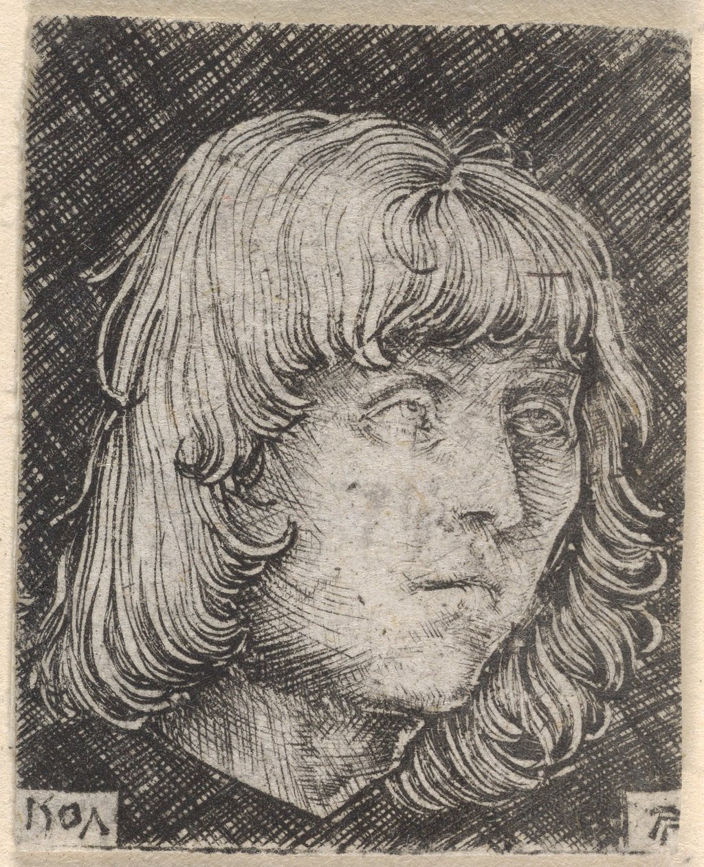 Kopf eines jungen Mannes von Albrecht Altdorfer