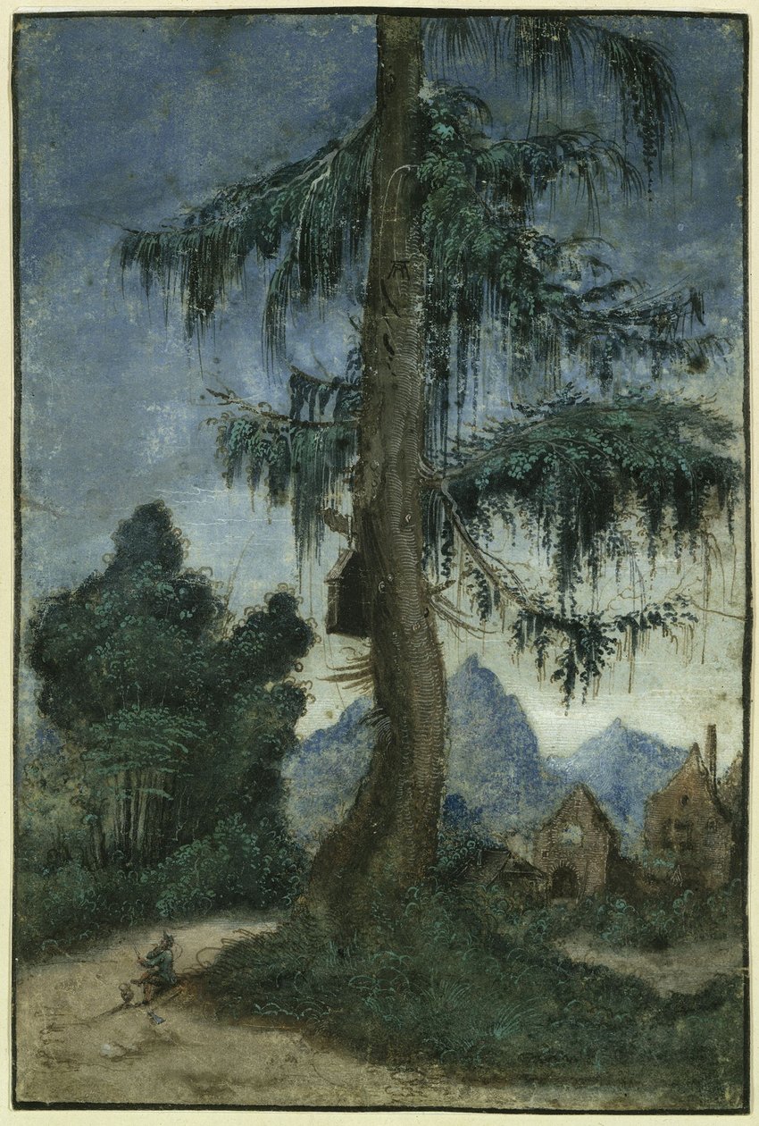 Landschaft mit Fichte von Albrecht Altdorfer