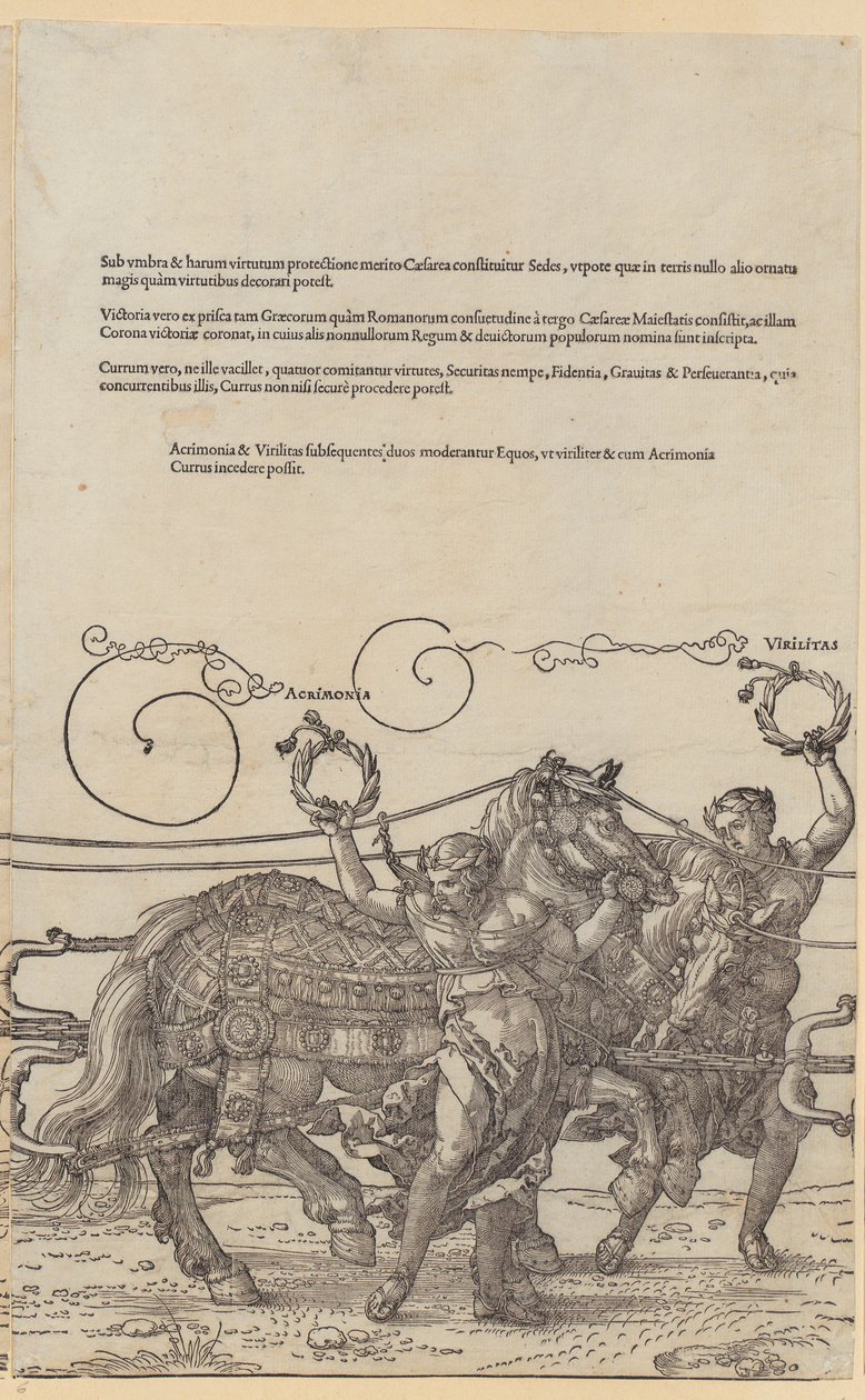 Acrimonia, Blatt 6 der Folge "Der Große Triumphwagen" von Albrecht Dürer