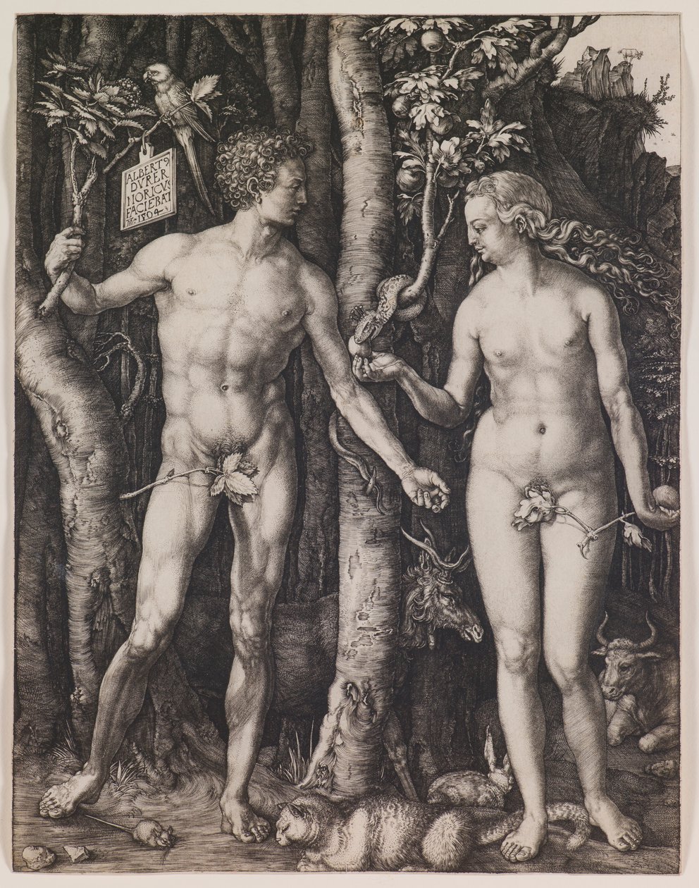 Adam und Eva von Albrecht Dürer