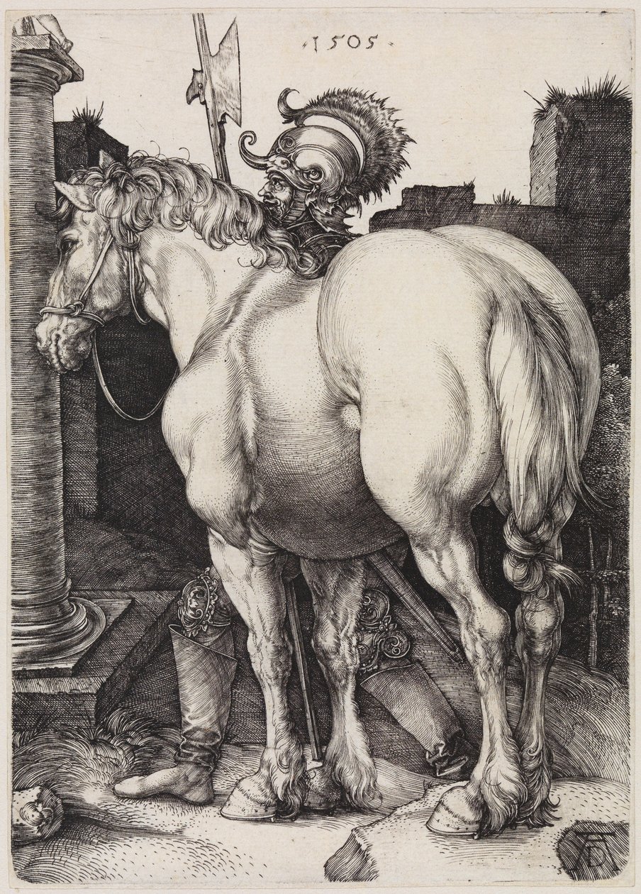 Das Große Pferd von Albrecht Dürer