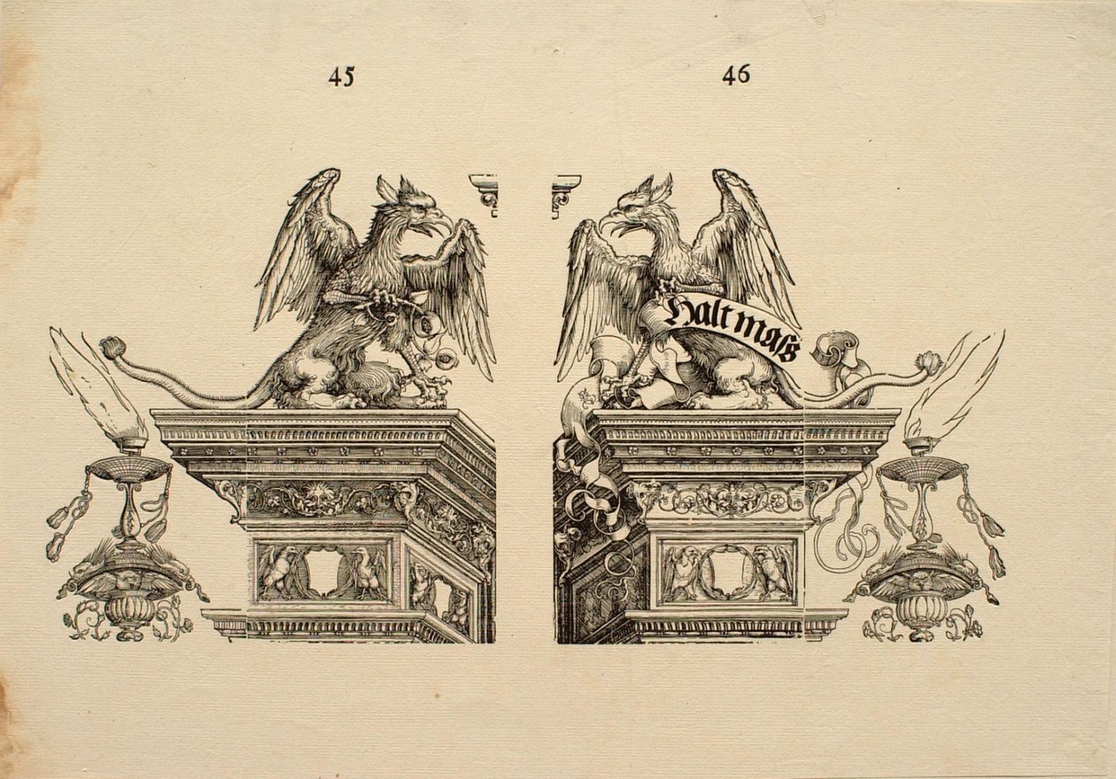 Detail von Albrecht Dürer