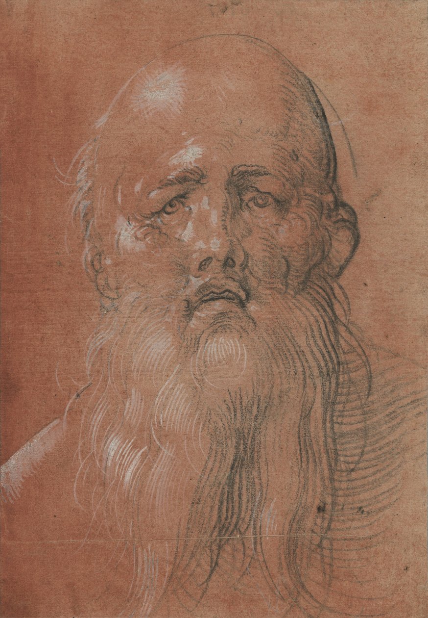 Kopf eines bärtigen Mannes von Albrecht Dürer