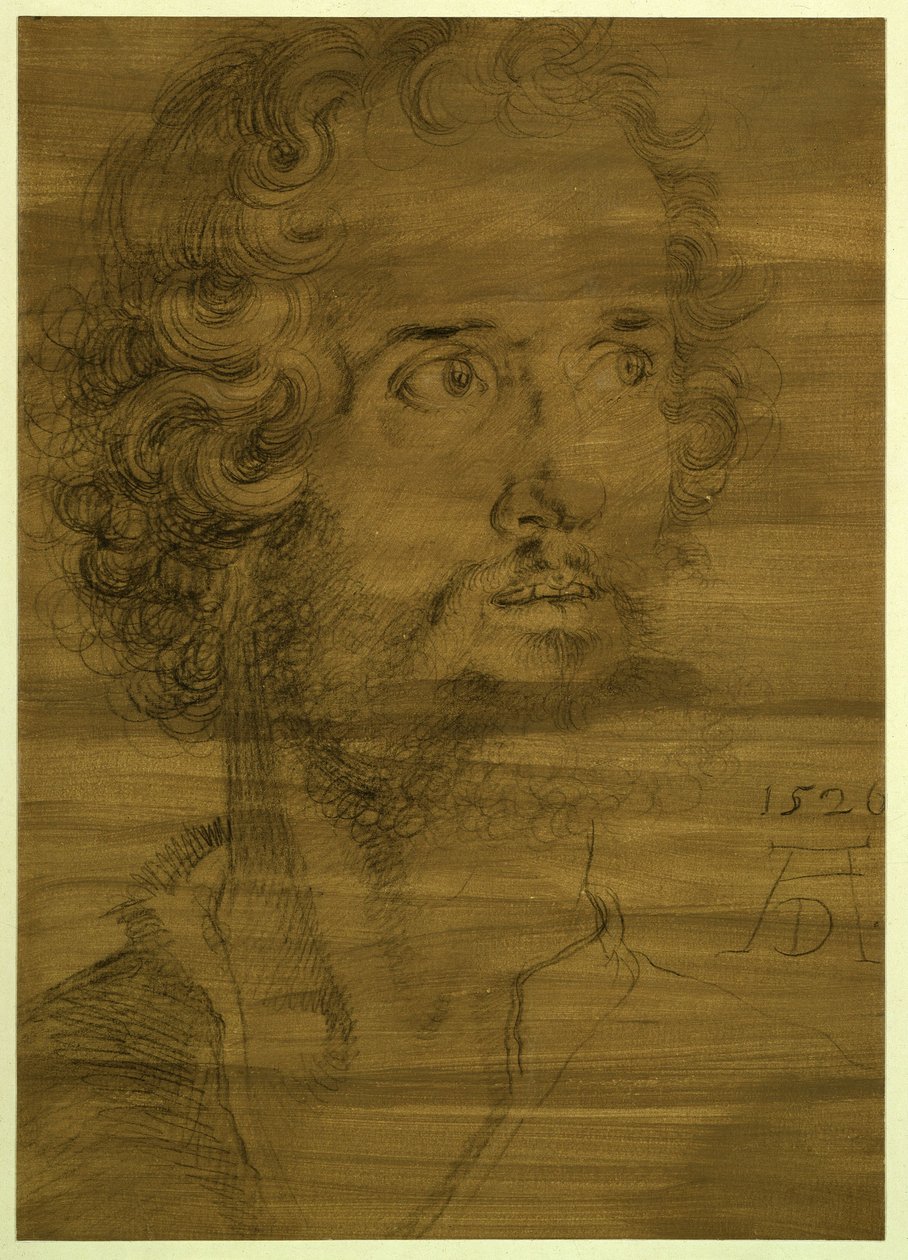 Kopf des Evangelisten Markus von Albrecht Dürer