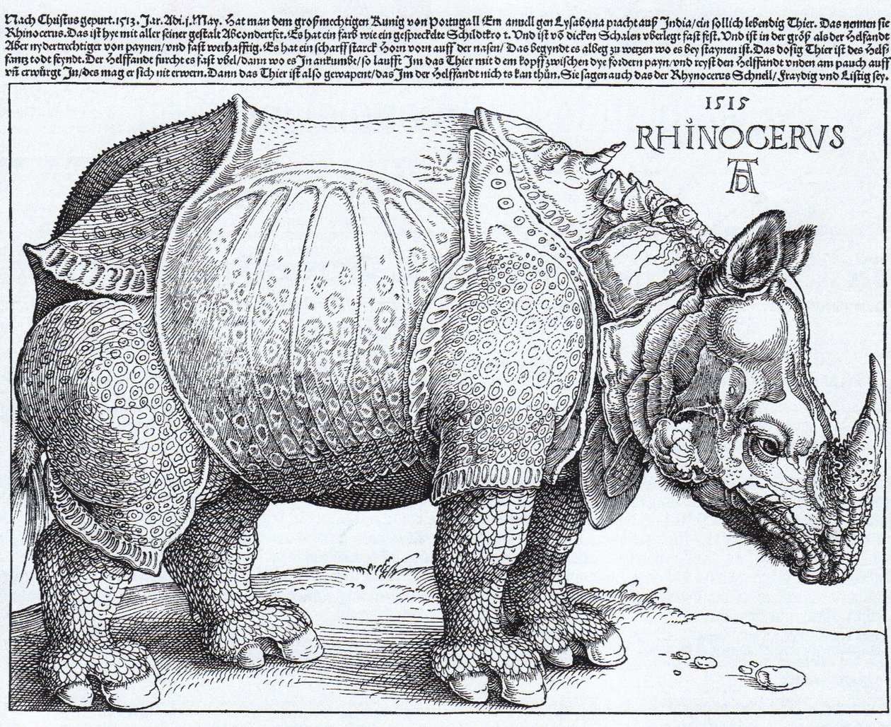 Das Nashorn von Albrecht Dürer