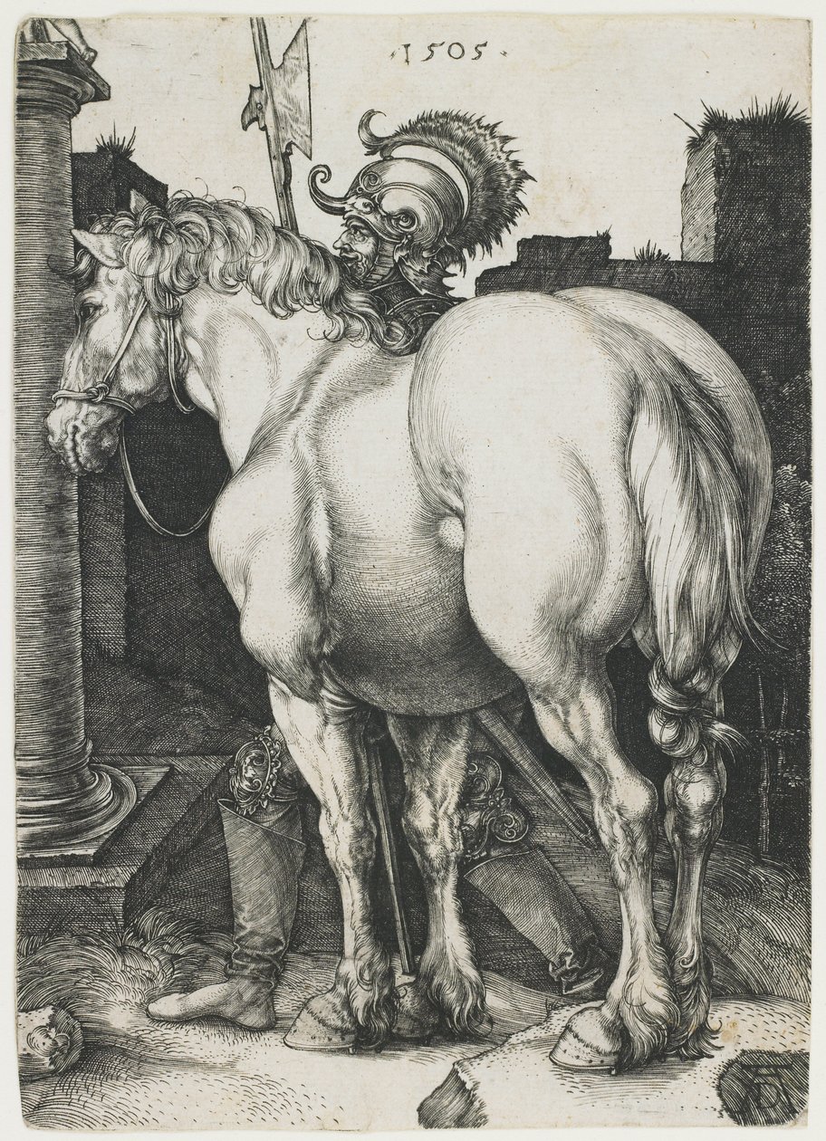 Das große Pferd von Albrecht Dürer