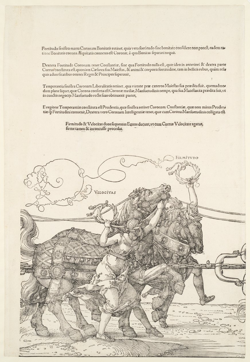 Der große Triumphwagen: Velocitas und Firmitudo von Albrecht Dürer