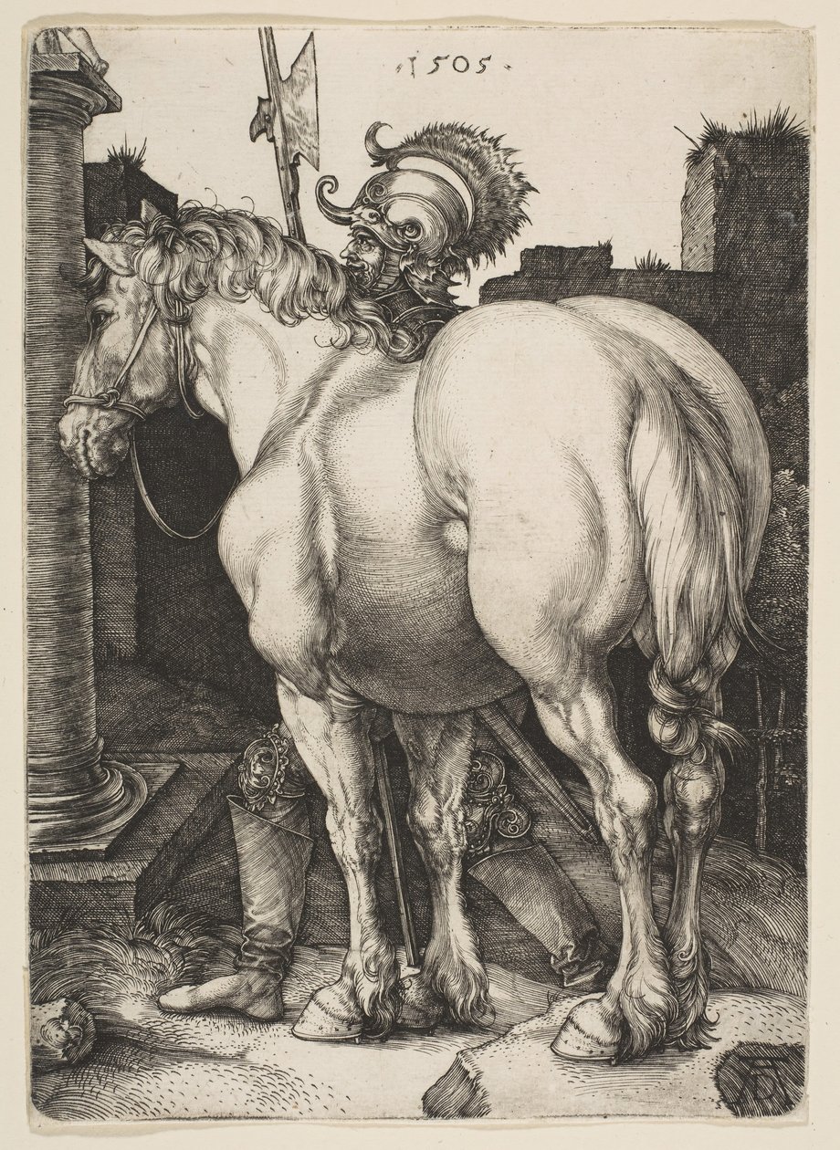 Das große Pferd, 1505 von Albrecht Dürer