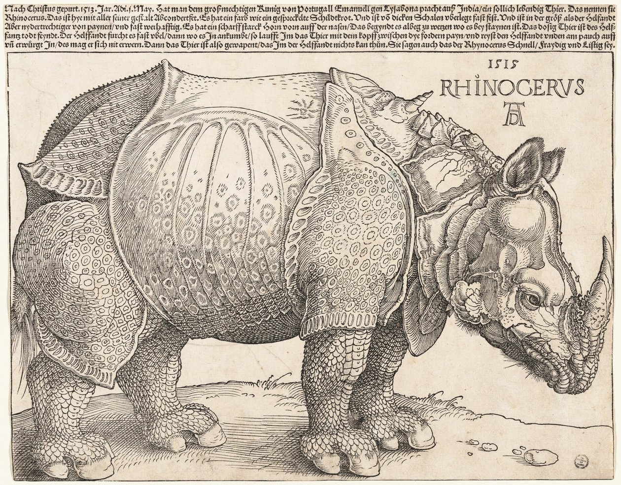 Das Nashorn von Albrecht Dürer