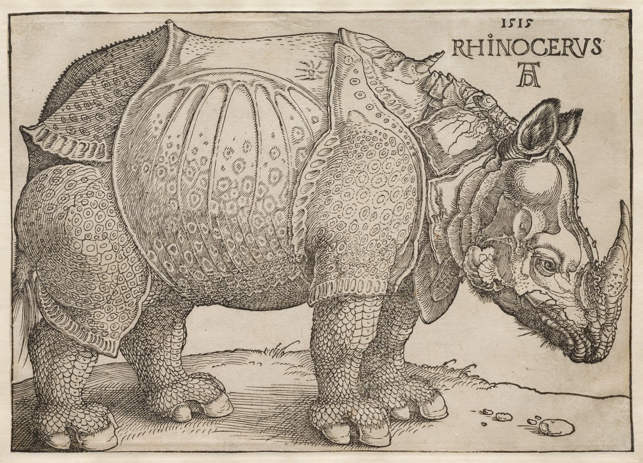 Das Rhinozeros von Albrecht Dürer
