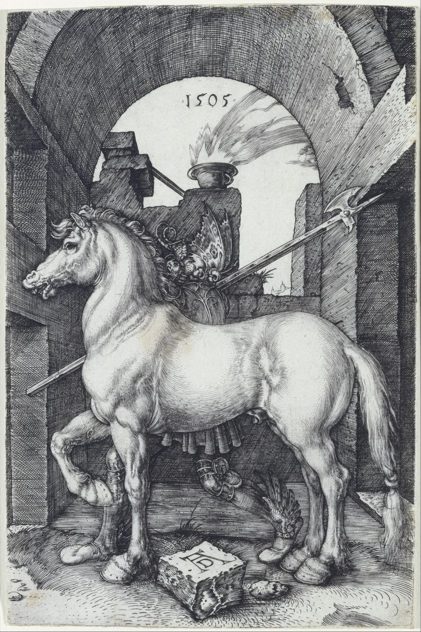 Das kleine Pferd von Albrecht Dürer