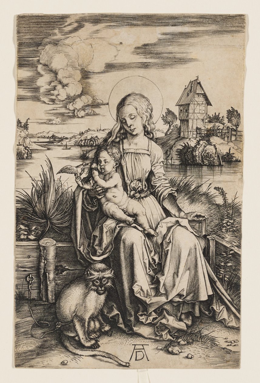 Maria mit der Meerkatze von Albrecht Dürer