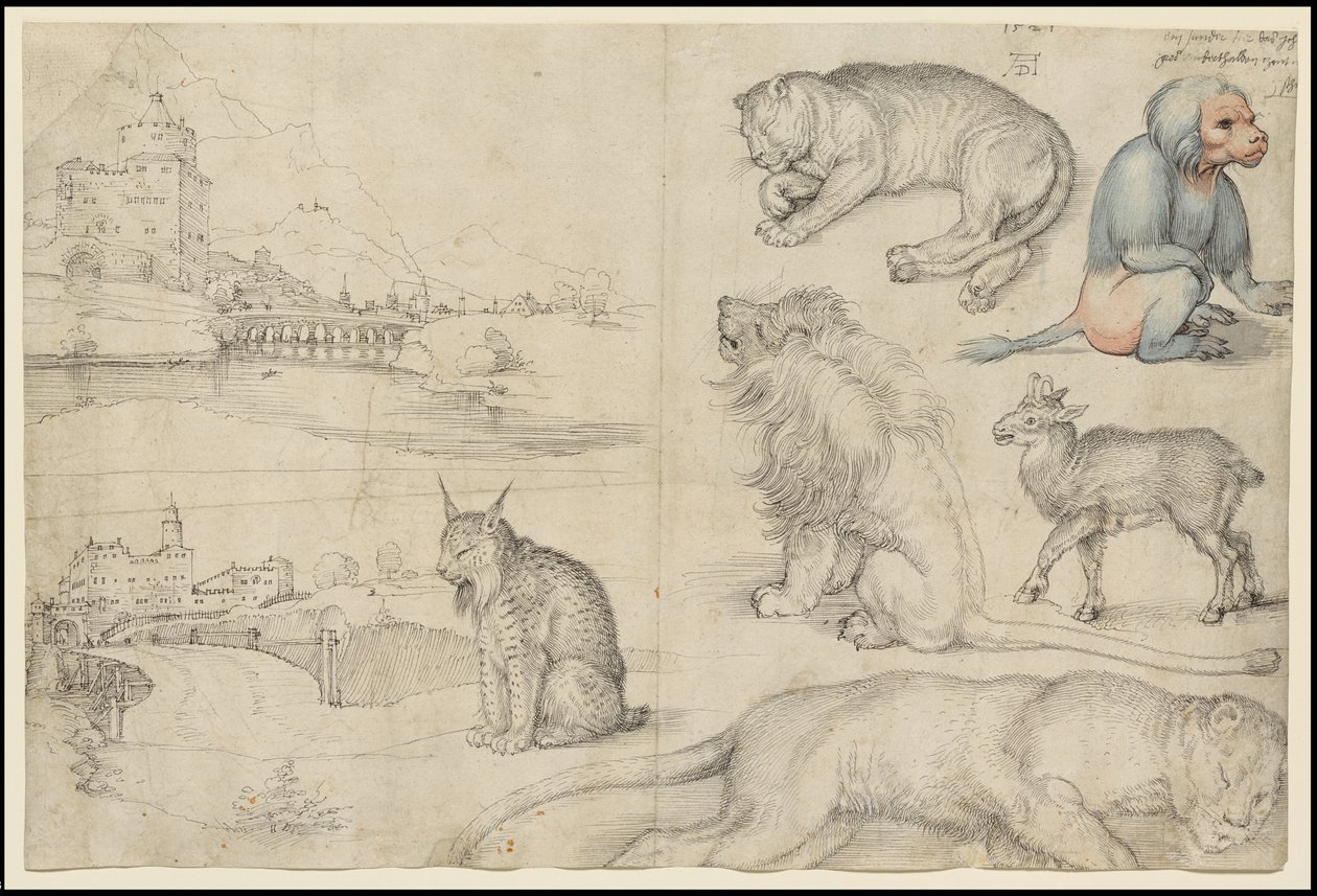 Skizzen von Tieren und Landschaften von Albrecht Dürer