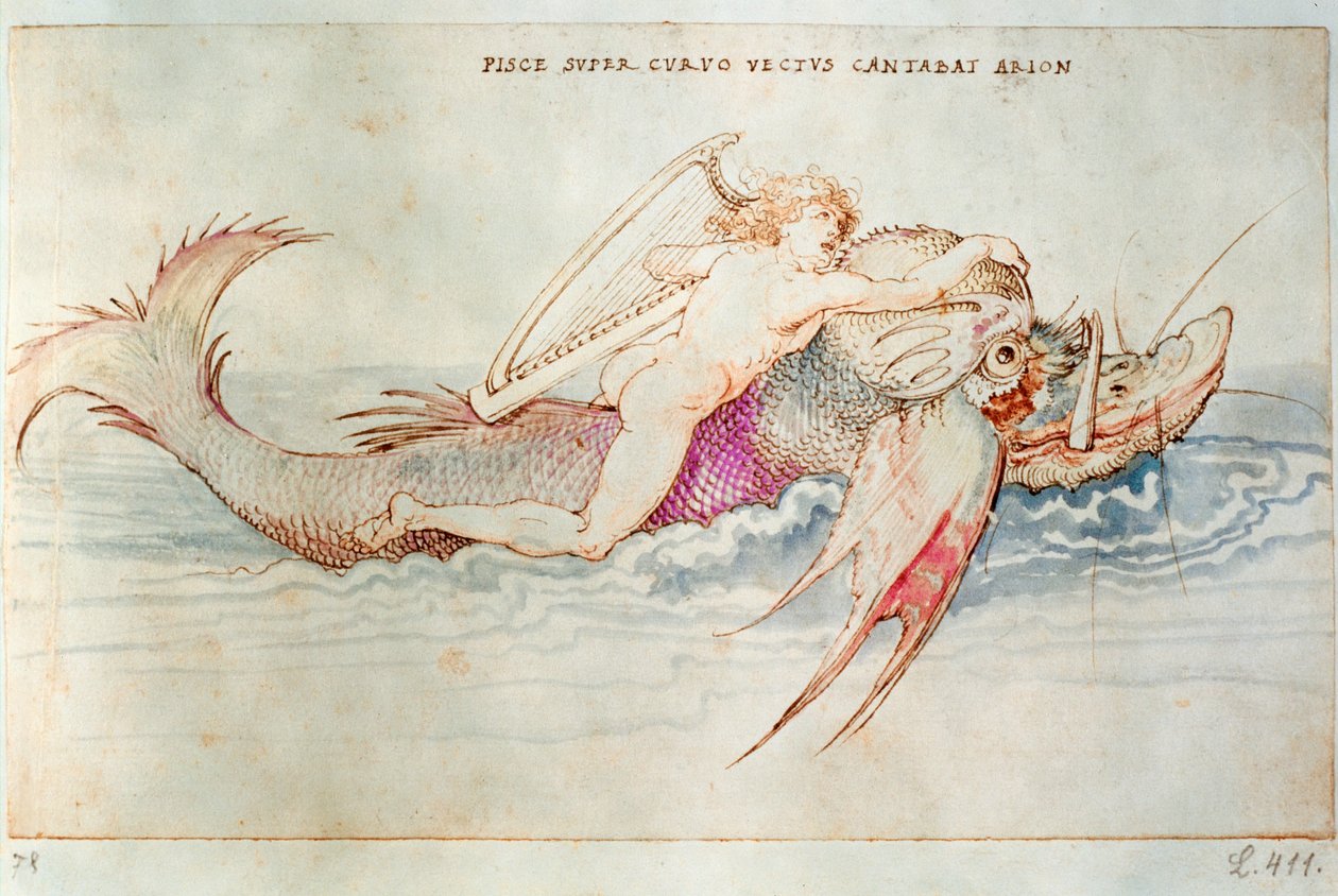 Der griechische Dichter Arion reitet auf dem Delphin von Albrecht Dürer or Duerer