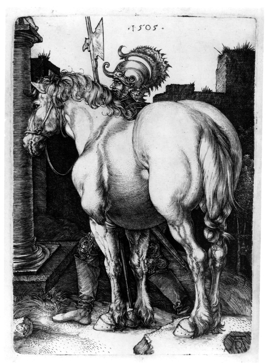 Das große Pferd, 1509 von Albrecht Dürer