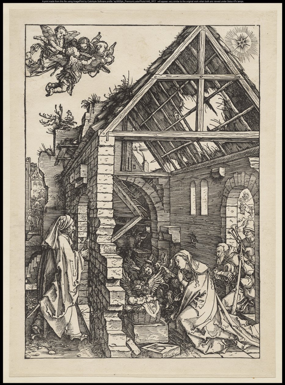 Das Leben der Jungfrau: Die Geburt, 1502-03 von Albrecht Dürer