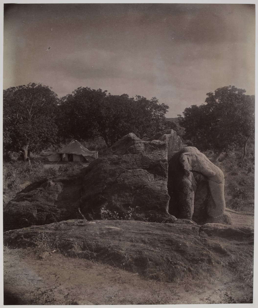 Skulpturierter Elefant auf einem Felsen mit Asoka-Inschriften, Dhauli, Puri-Distrikt von Alexander Caddy