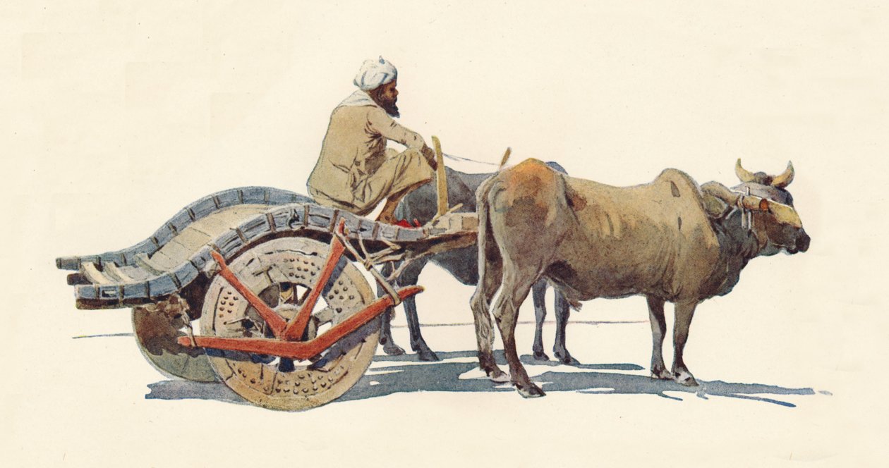 Ein Ochsenkarren, Jodhpur, um 1880 1905 von Alexander Henry Hallam Murray