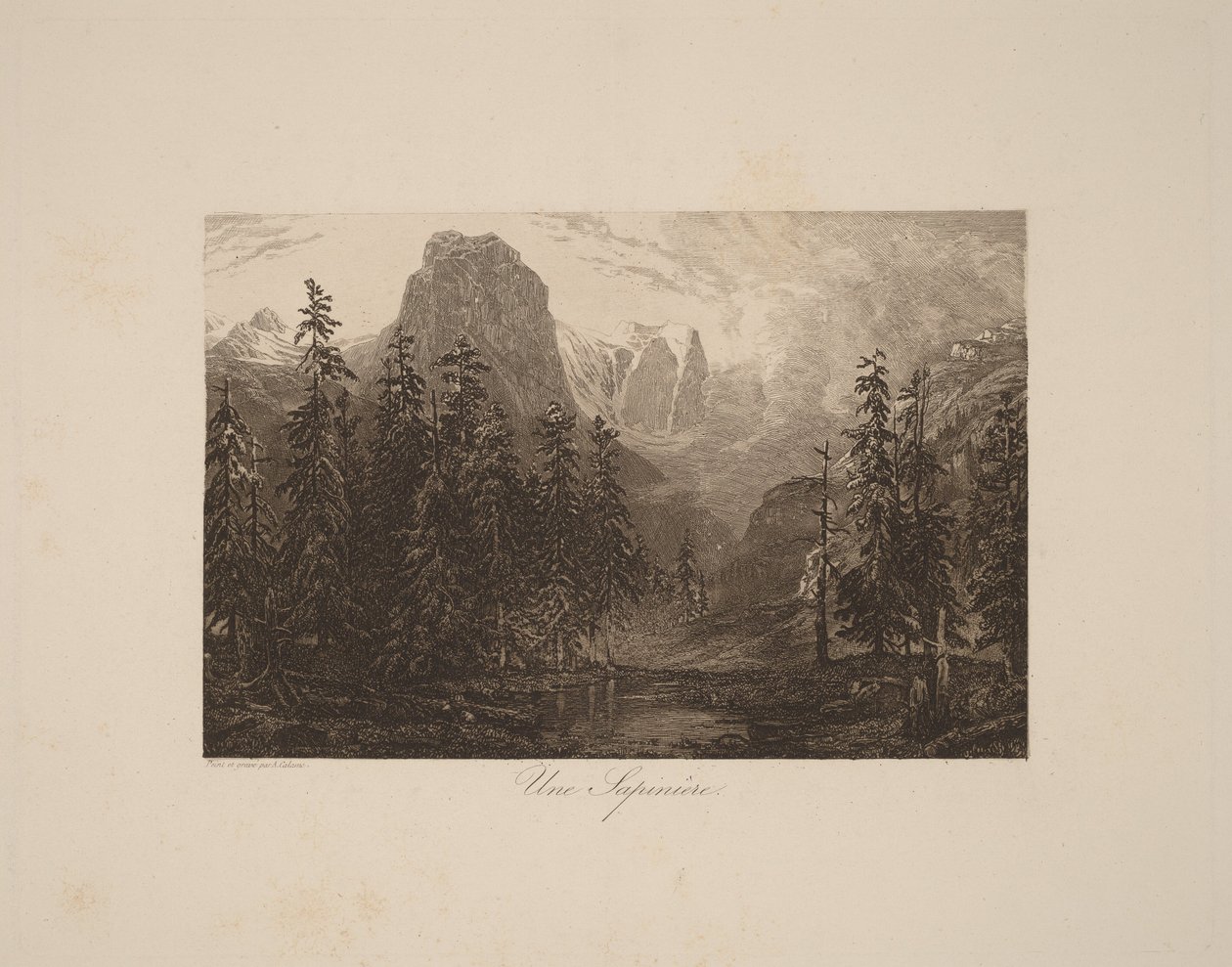 Ein Tannenwald von Alexandre Calame