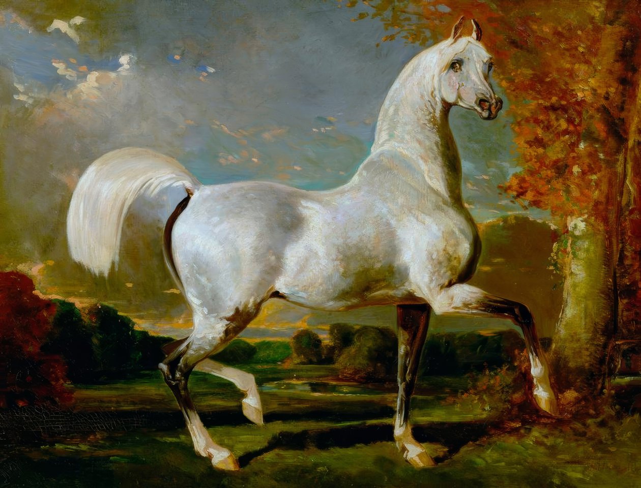 Arabischer Hengst von Alfred Dedreux