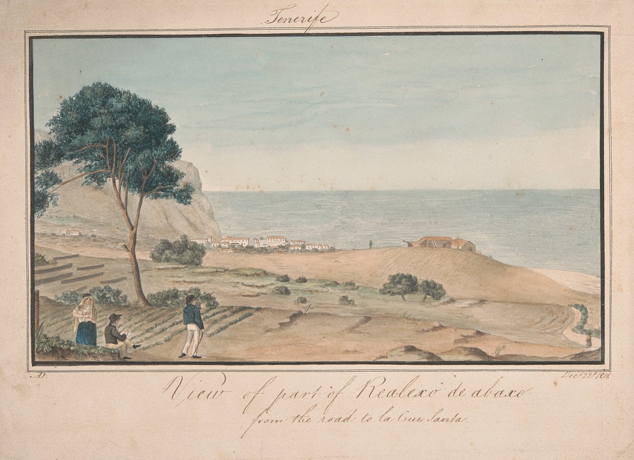 Blick auf einen Teil von Realesco de abasco von der Straße nach la Cruz Santa von Alfred Diston