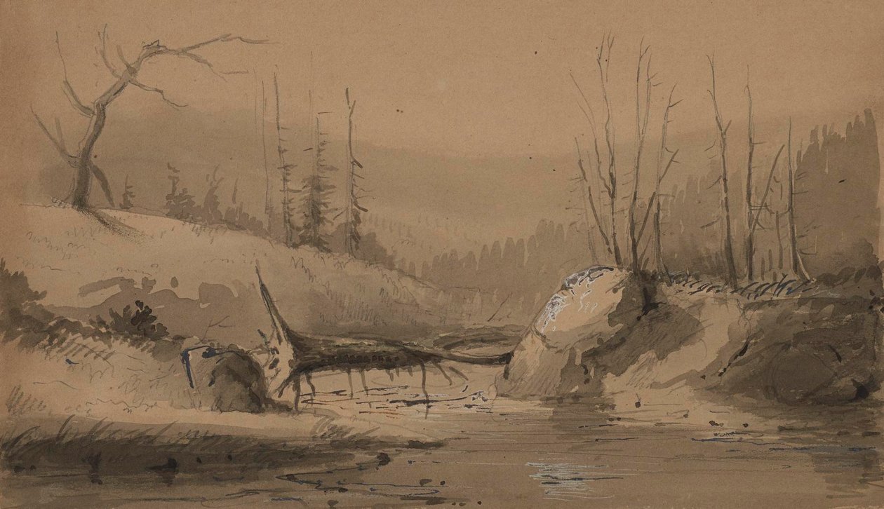 Bach mit umgestürztem Baum von Alfred Jacob Miller