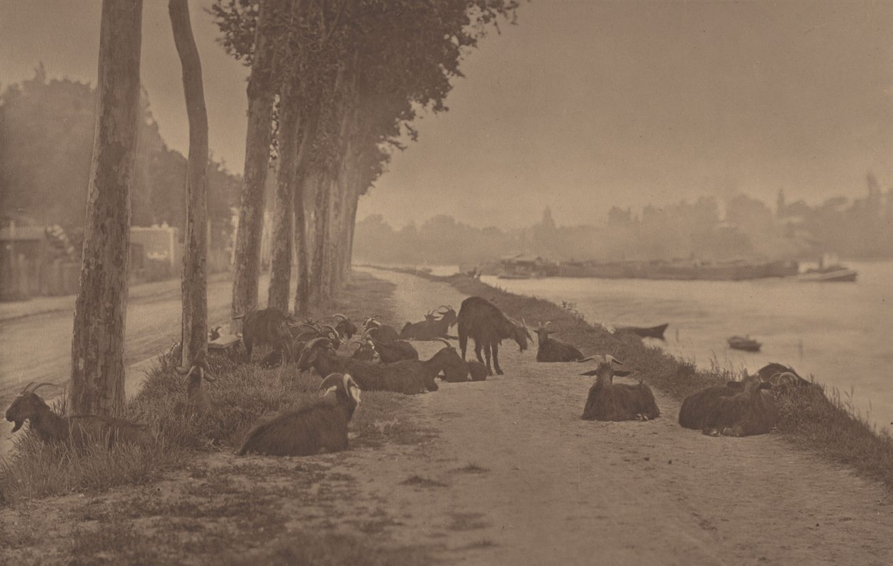 Eine dekorative Tafel von Alfred Stieglitz