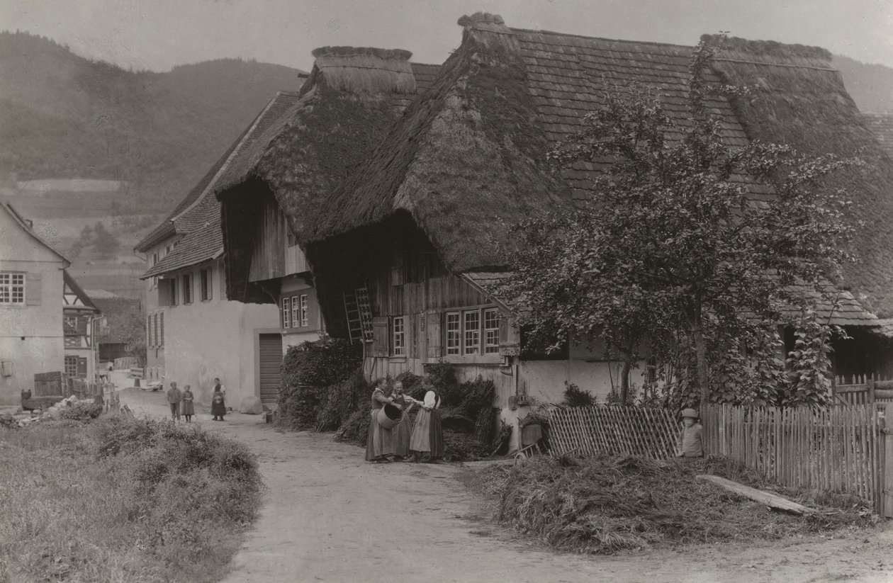 Eine Zusammenkunft in Gutach von Alfred Stieglitz