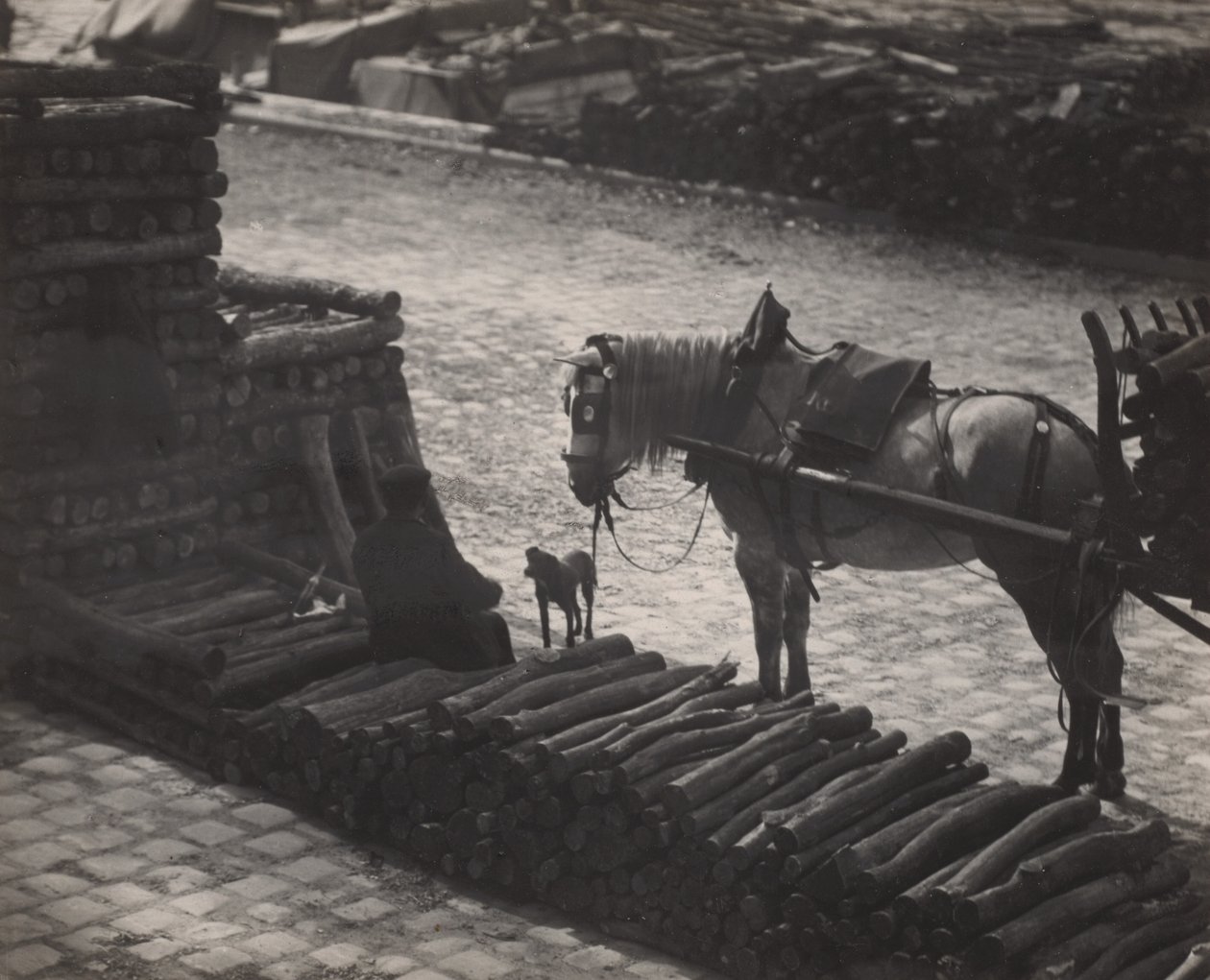 Ein Schnappschuss, Paris von Alfred Stieglitz