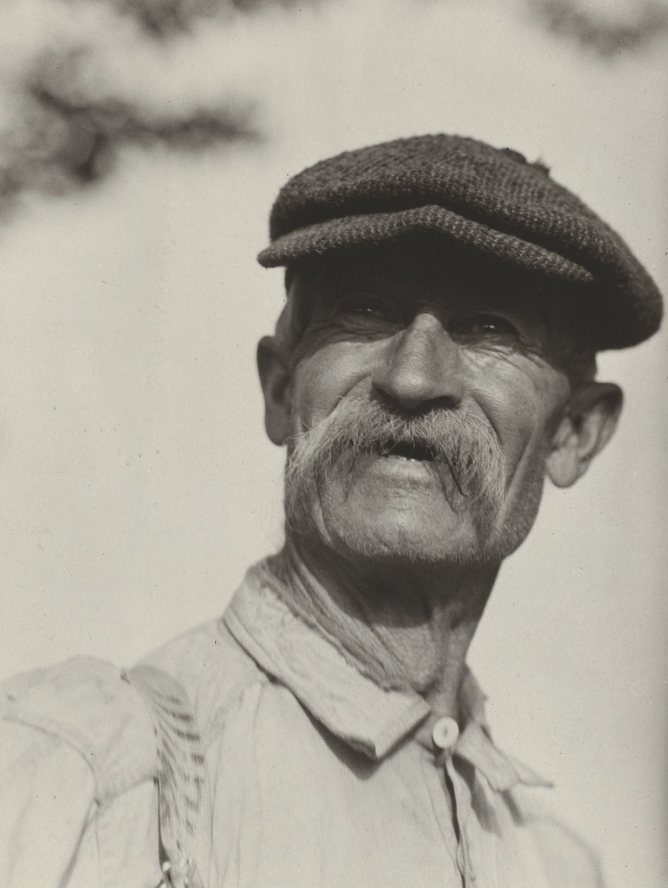 Bly von Alfred Stieglitz