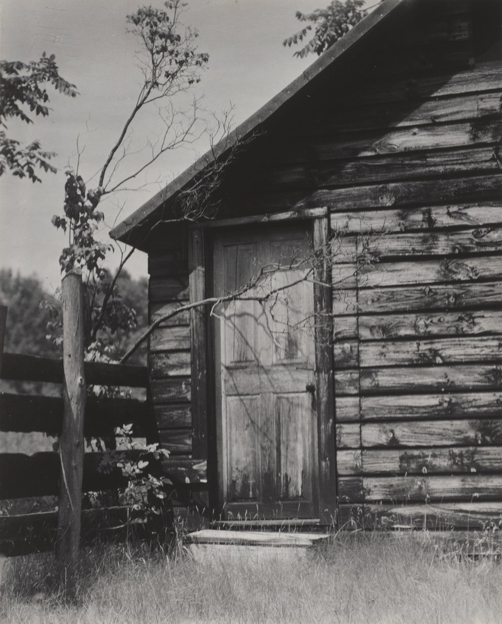 Tür zur Hütte, Lake George von Alfred Stieglitz