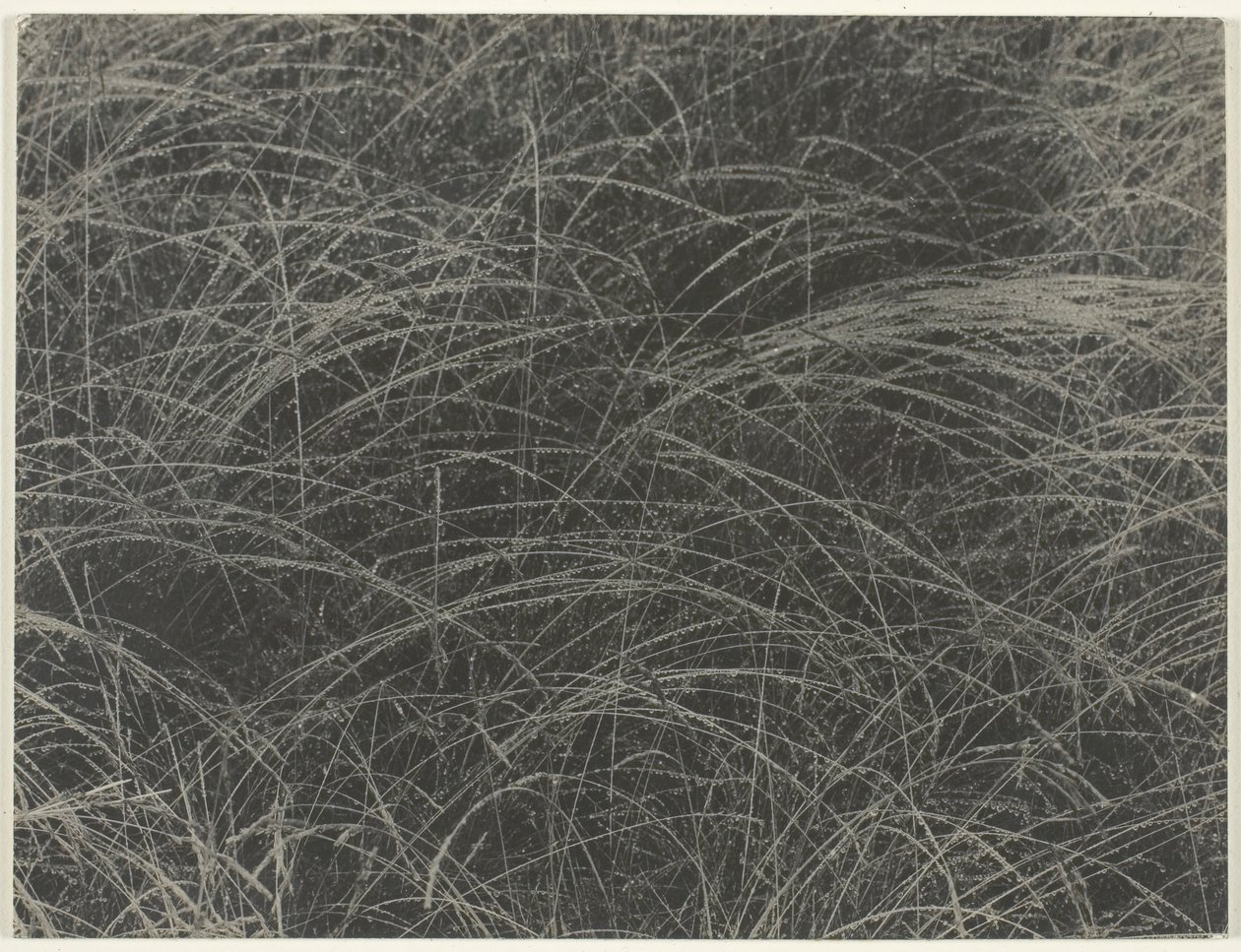 Äquivalent, 1927 von Alfred Stieglitz