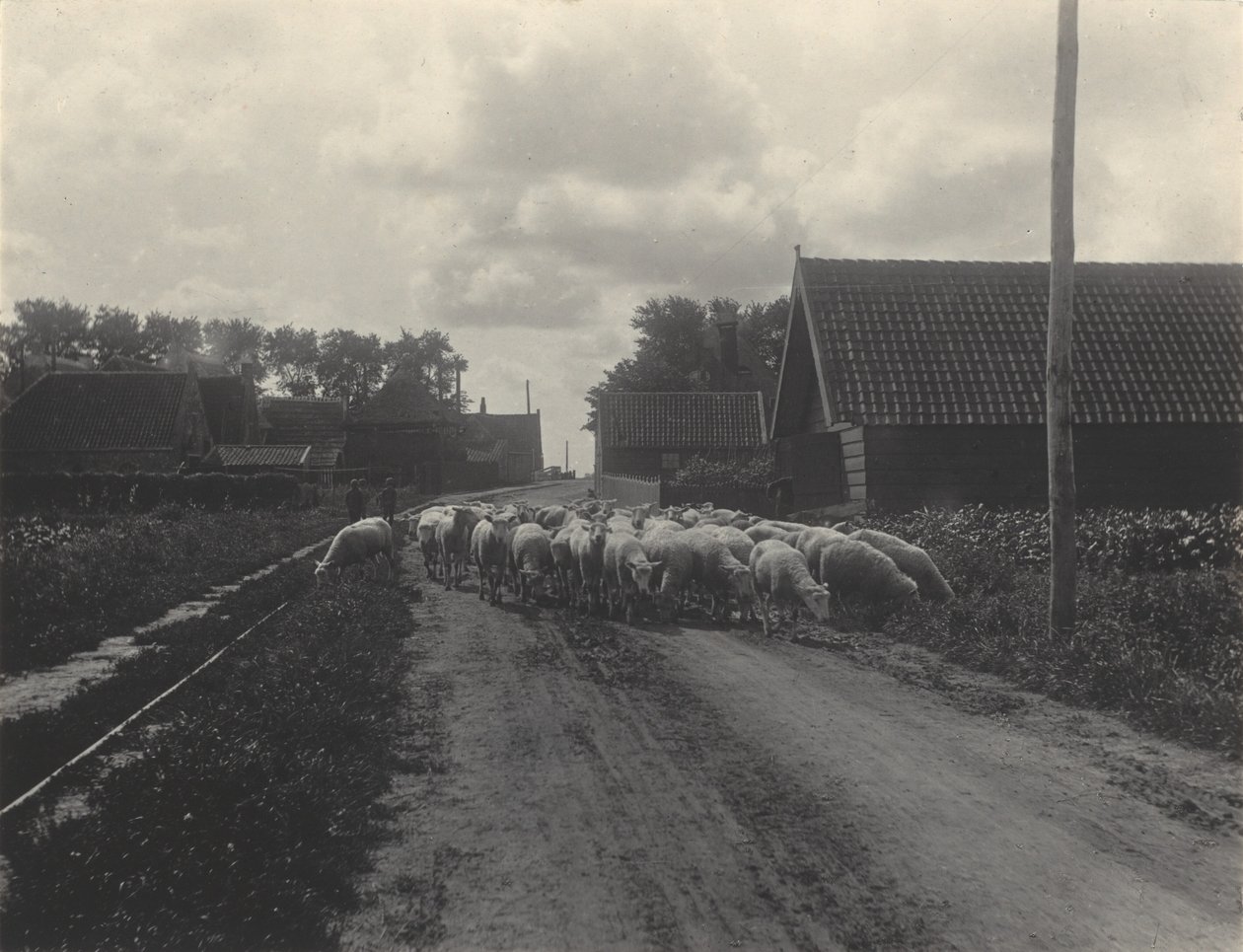 Zum Weiden gehen von Alfred Stieglitz