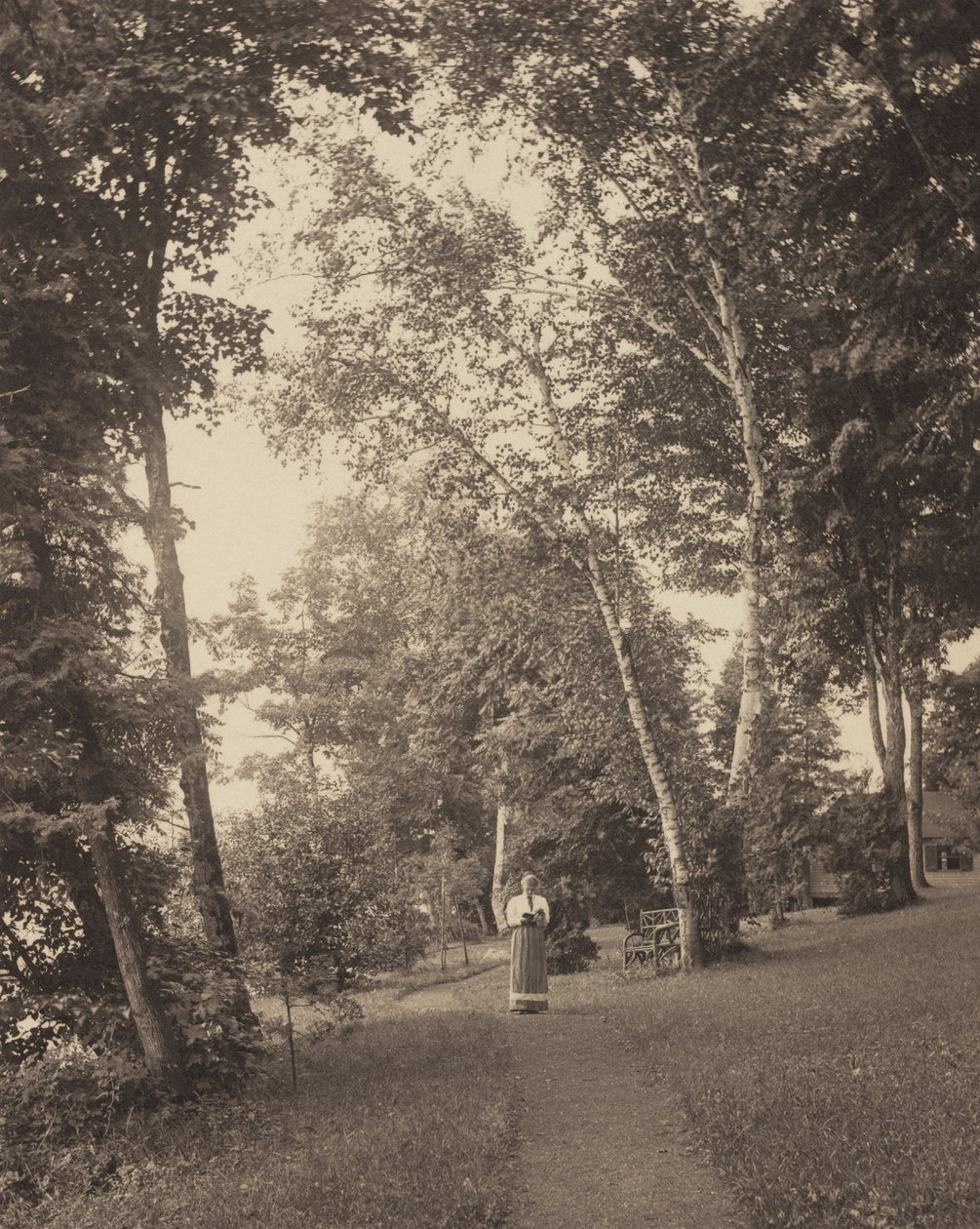 Hedwigspfad, Oaklawn, Lake George von Alfred Stieglitz
