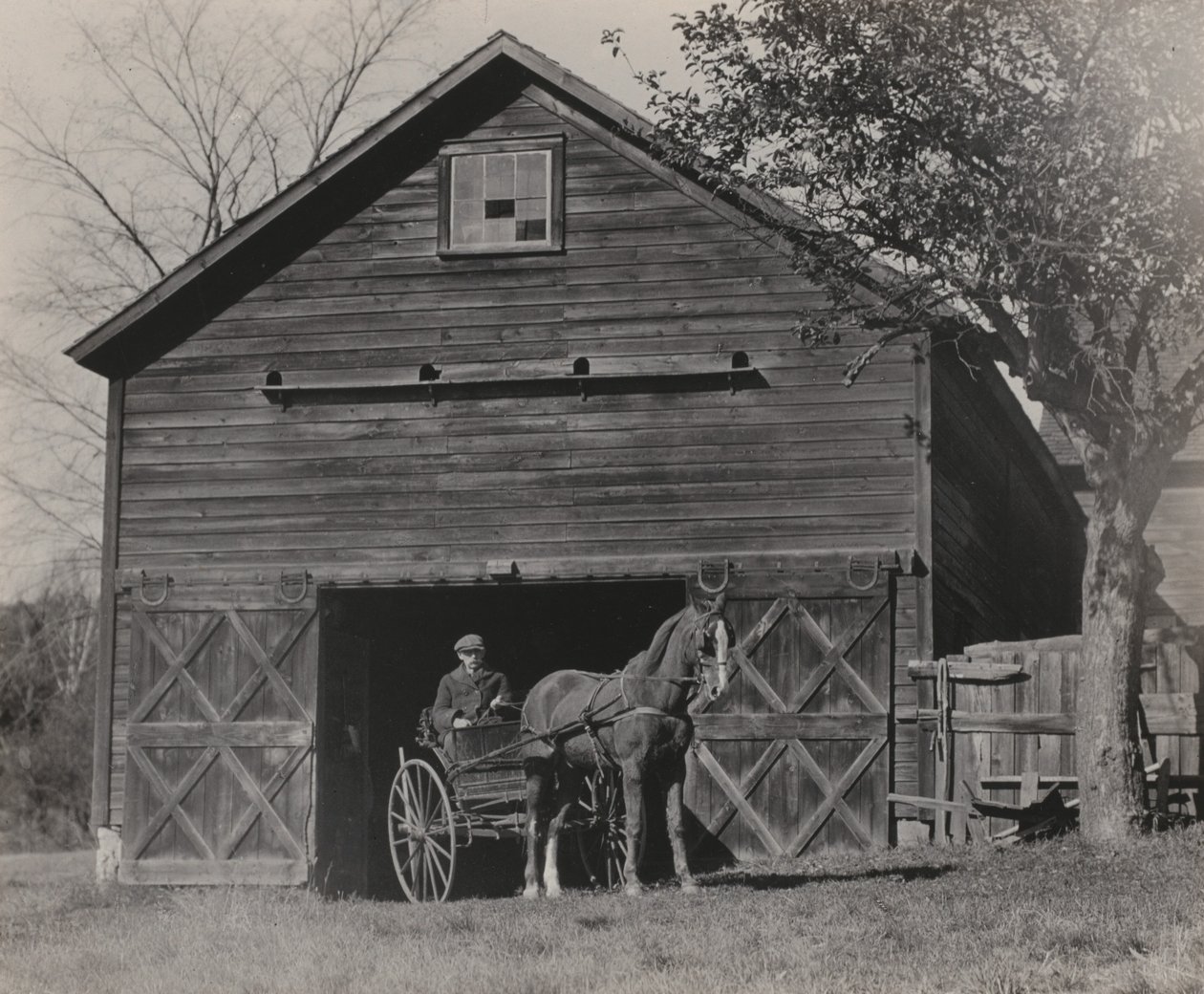 Pferd und Kutsche von Alfred Stieglitz
