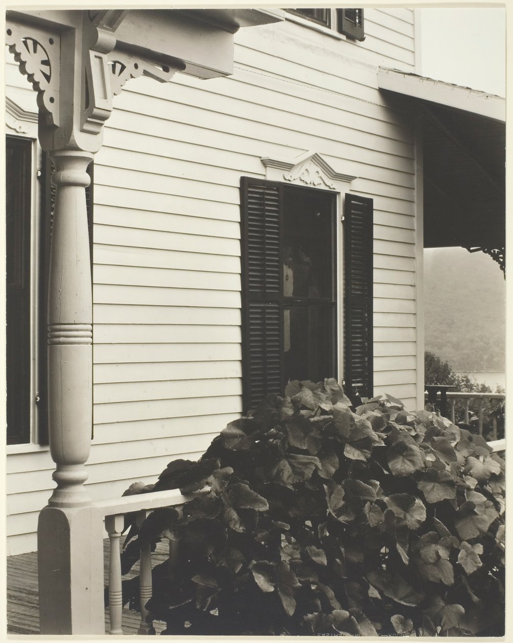 Haus und Weinblätter, 1934 von Alfred Stieglitz