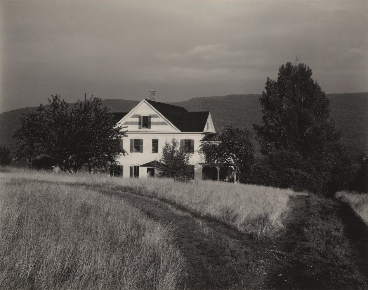 Haus und Bäume, Lake George von Alfred Stieglitz